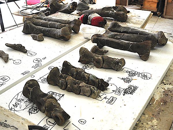 Restituition visuelle et étude au Laboratoire 2018