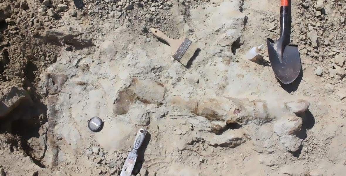 Thétis - Contact Us